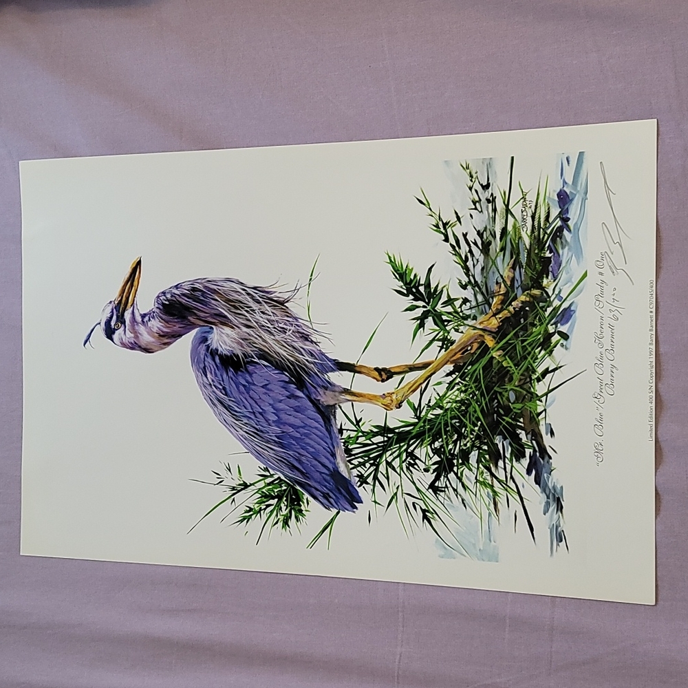 Great White Heron Limited Edition Print